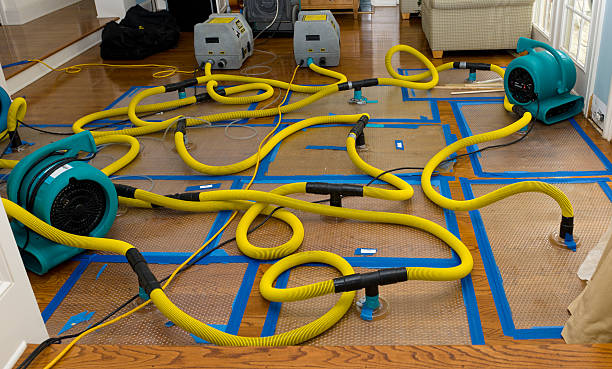 Professional Basement Flood Cleanup technician working in Pemberville, OH
